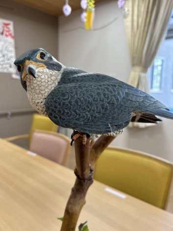 　鳥❓　本物❓