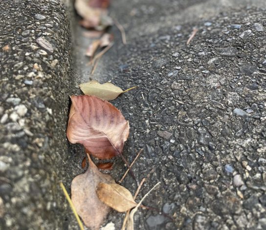 9月の地域貢献活動