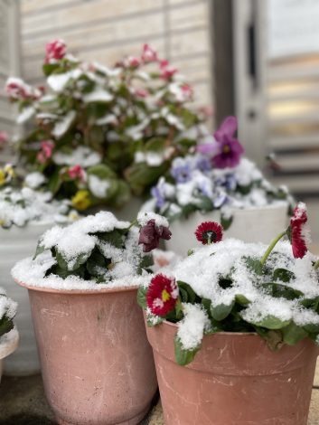 初雪⛄