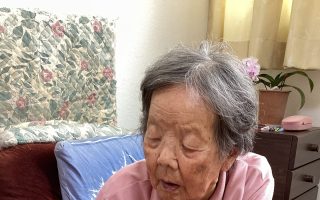 暑中見舞い