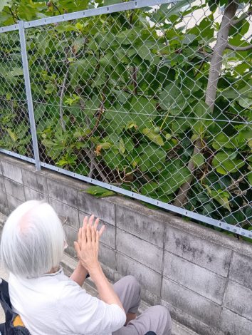やっと屋外へ