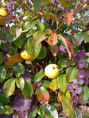 気分転換（11/27）